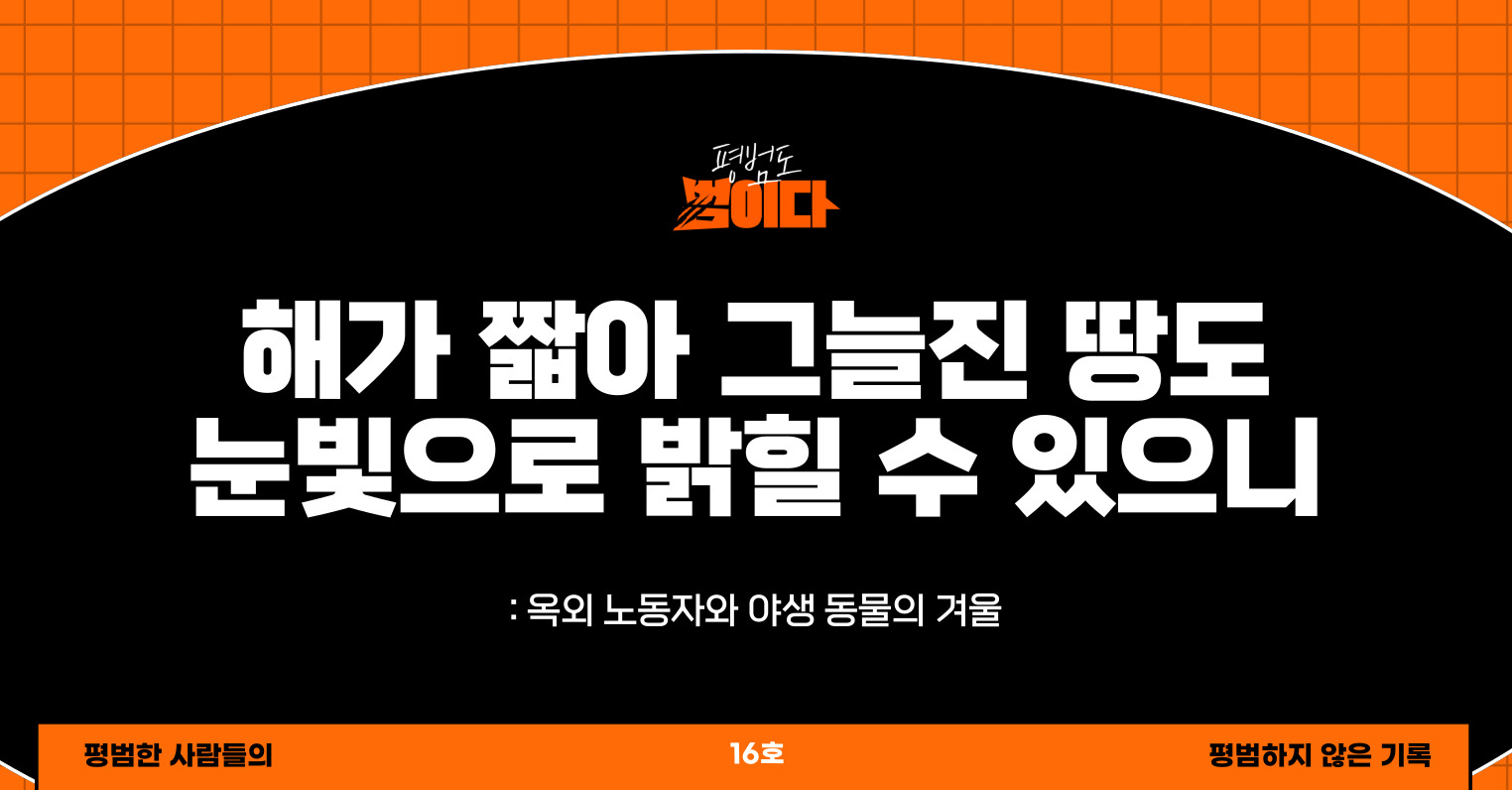해가 짧아 그늘진 땅도 눈빛으로 밝힐 수 있으니의 썸네일 이미지
