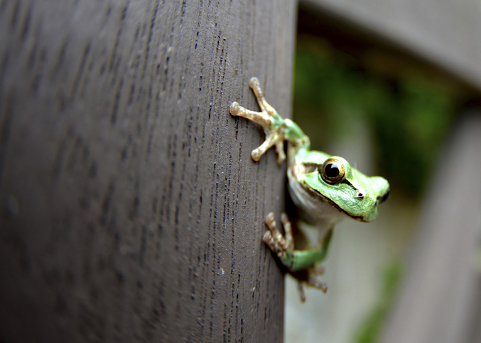 ⓒ게티이미지뱅크