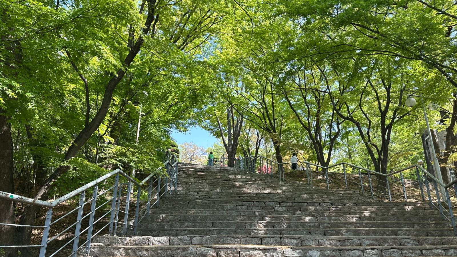 캠퍼스에 누운 문장들, 2. 책과 나의 공간의 썸네일 이미지