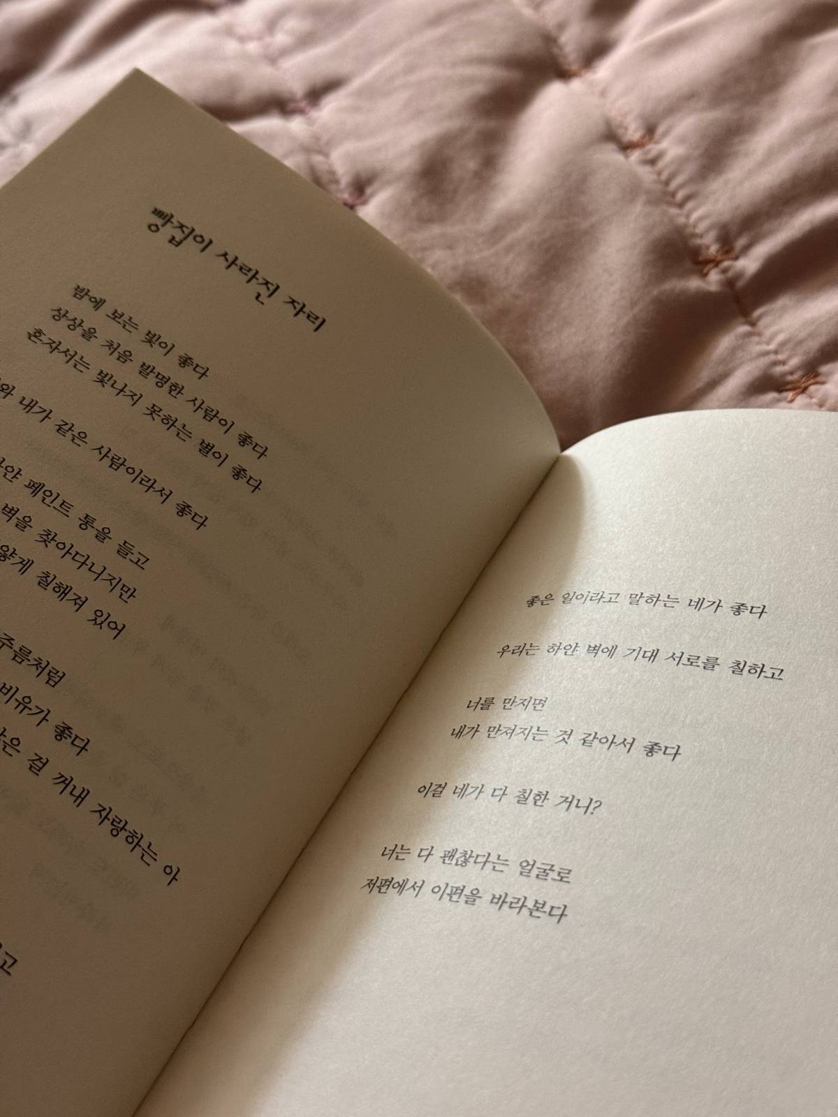 김종연, 검은 양 세기