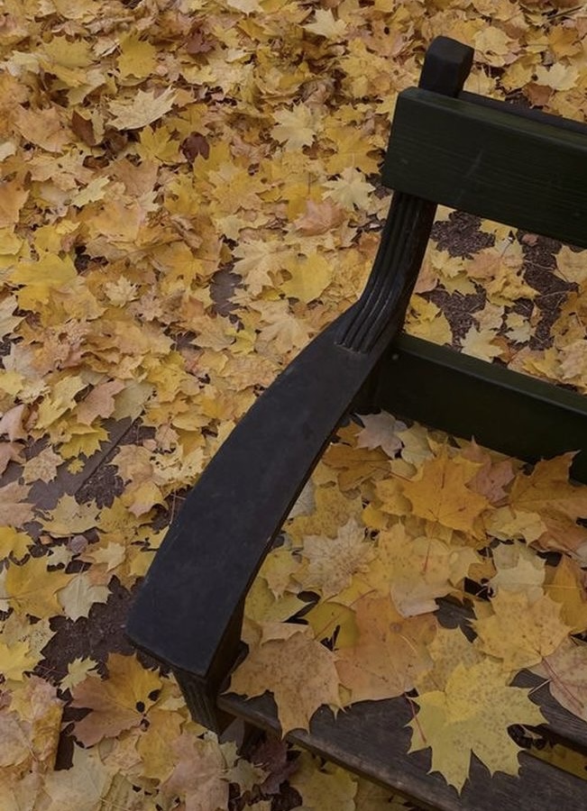 캠퍼스에 누운 문장들, 7. 마음 서랍장의 썸네일 이미지