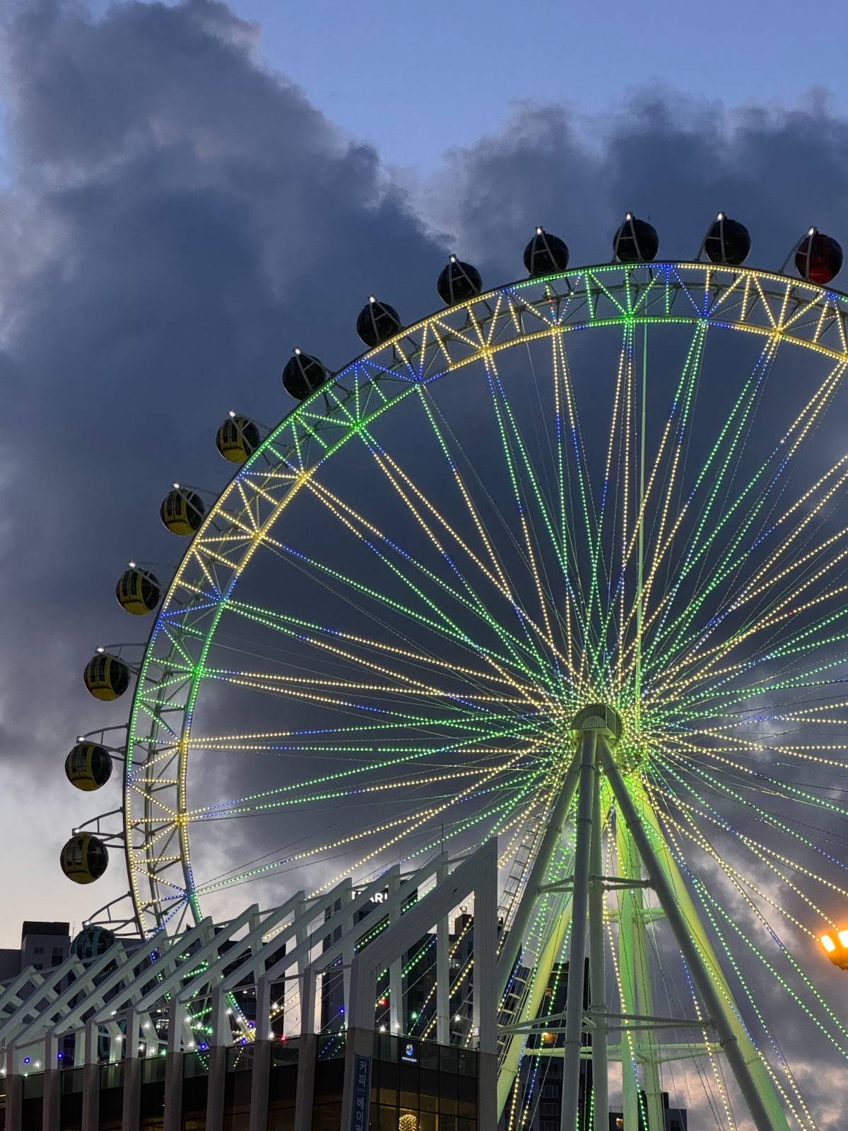 캠퍼스에 누운 문장들, 9. 회귀하는 마음의 썸네일 이미지