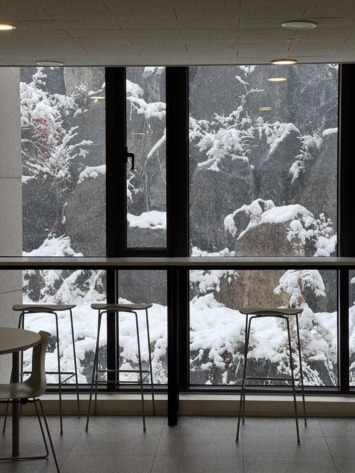 첫눈 오는 이런 오후에 너에게 전화를 걸었던 새참방