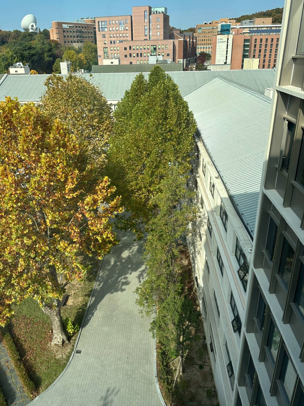 캠퍼스에 누운 문장들, 12. 사이만을 헤매더라도의 썸네일 이미지