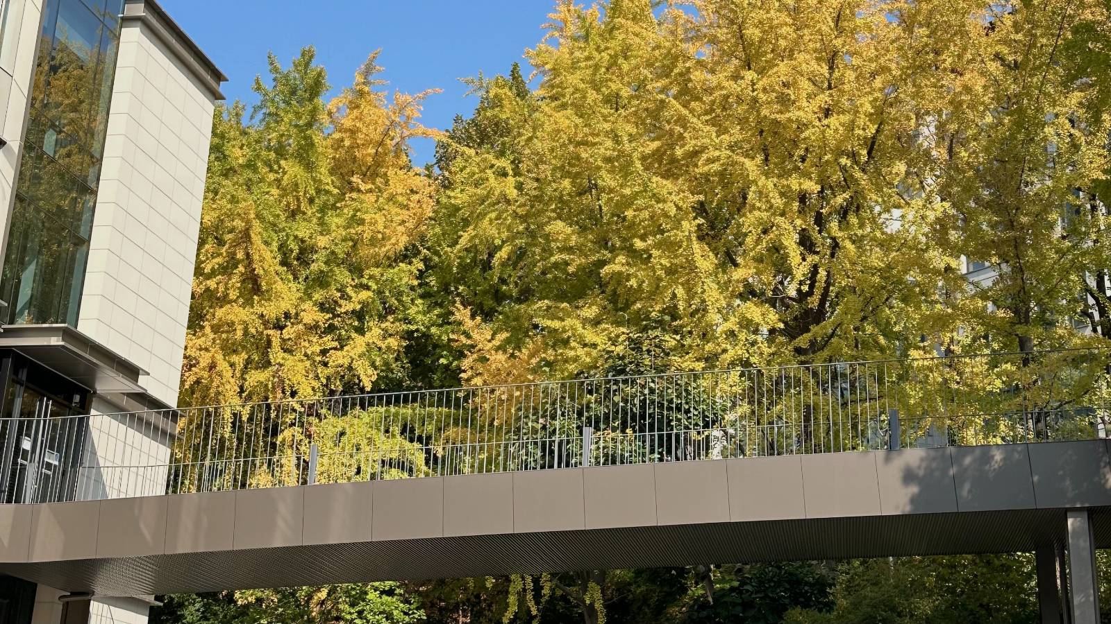 학관 6층 구름다리