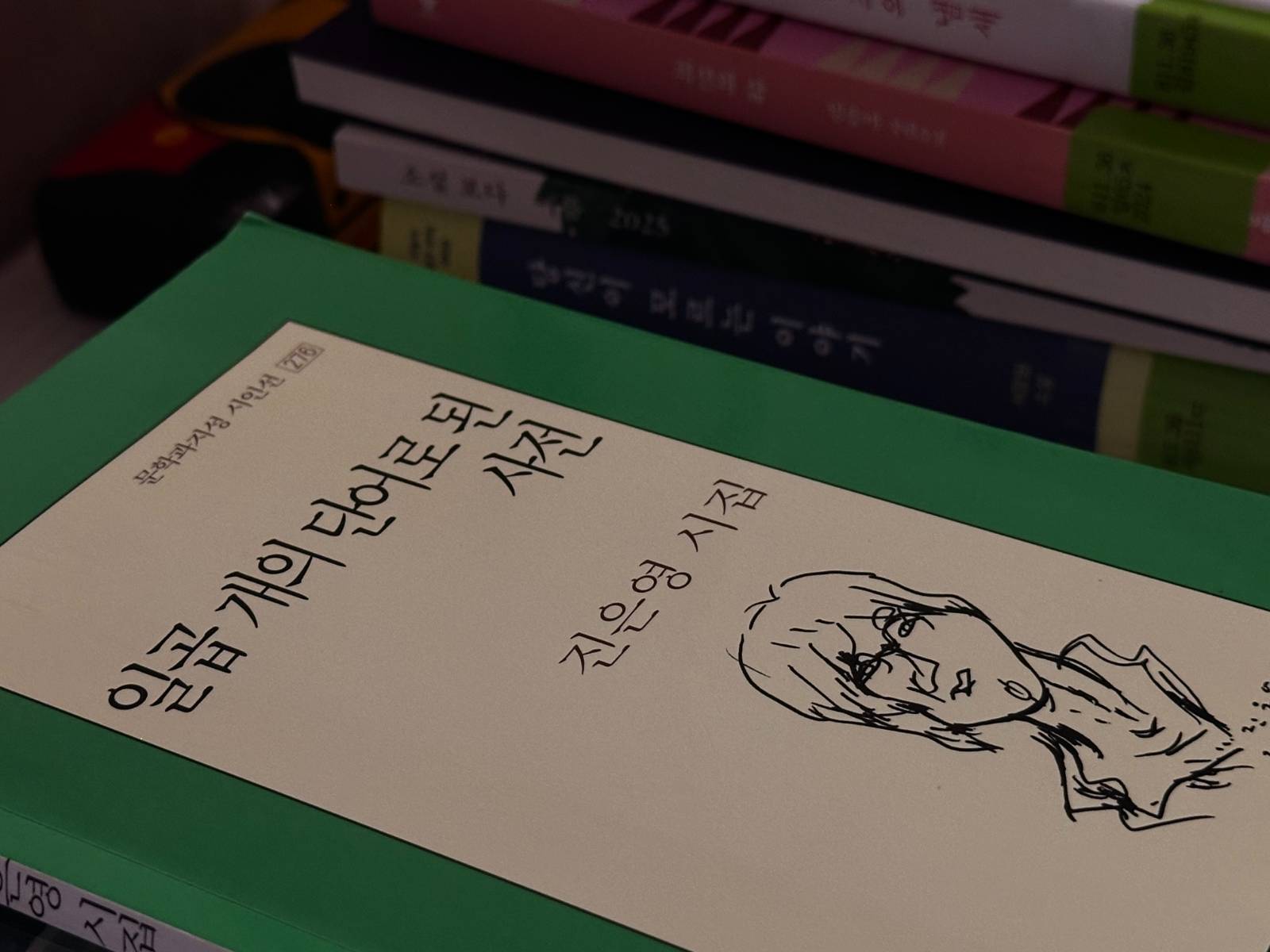 진은영, 일곱 개의 단어로 된 사전