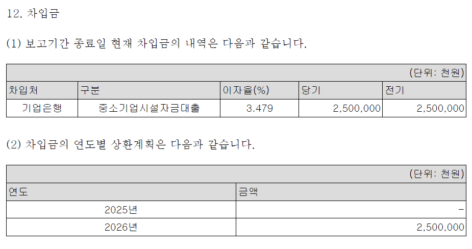 주석 12. 차입금 - 2026년 만기 차입금 25억 원이 존재한다.