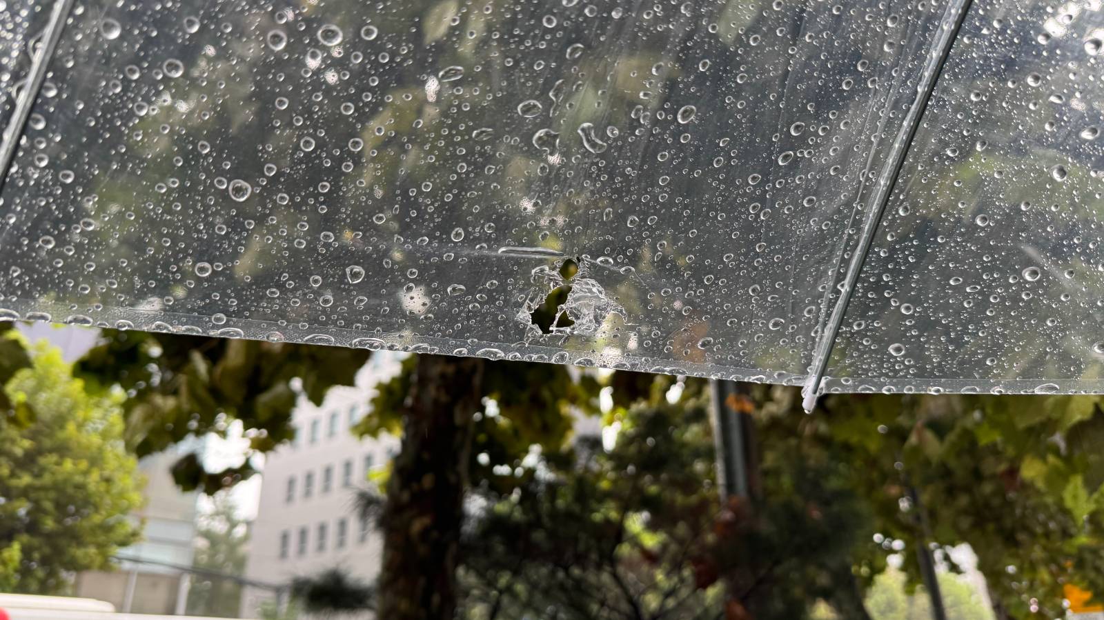 제철 음식 먹기 카운트의 썸네일 이미지