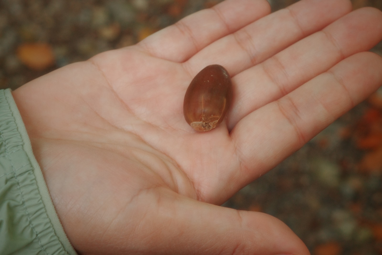 브베에서 쓴 편지의 썸네일 이미지