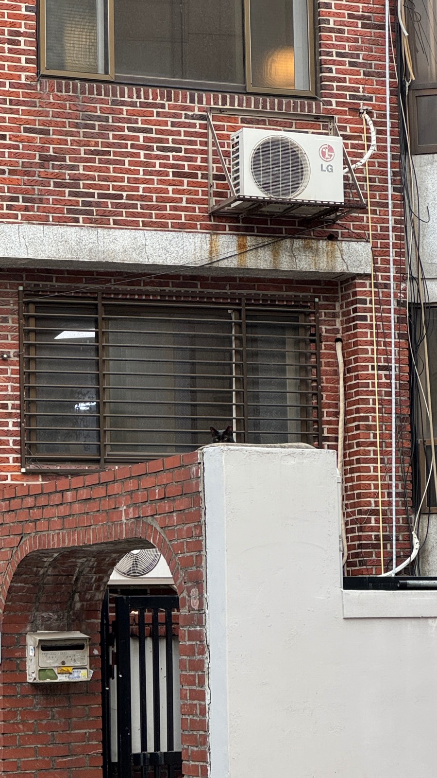 커피 믹스 절도범의 썸네일 이미지