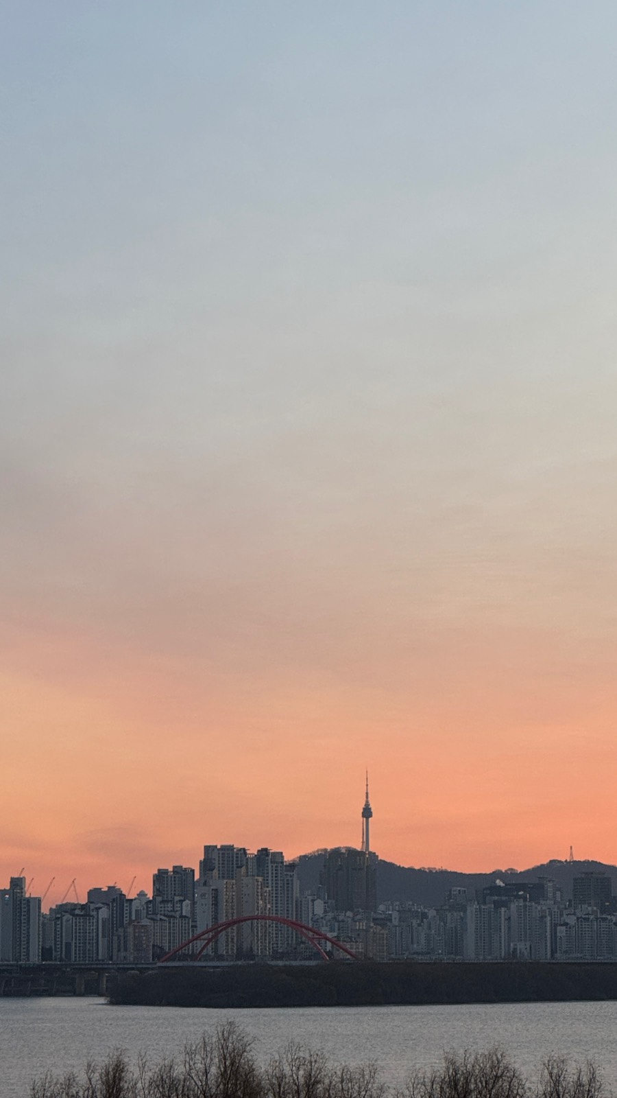 새해엔 복 많이! 책 많이!의 썸네일 이미지