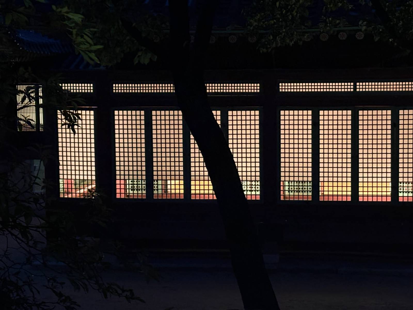 뒷모습