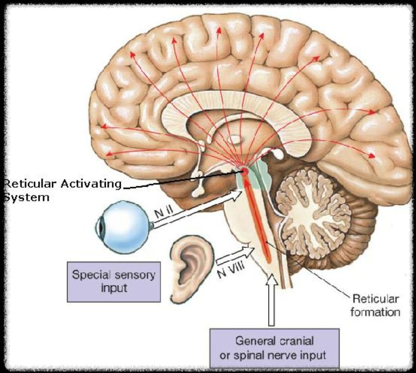 여러분의 집중력은 안녕하신가요?의 썸네일 이미지