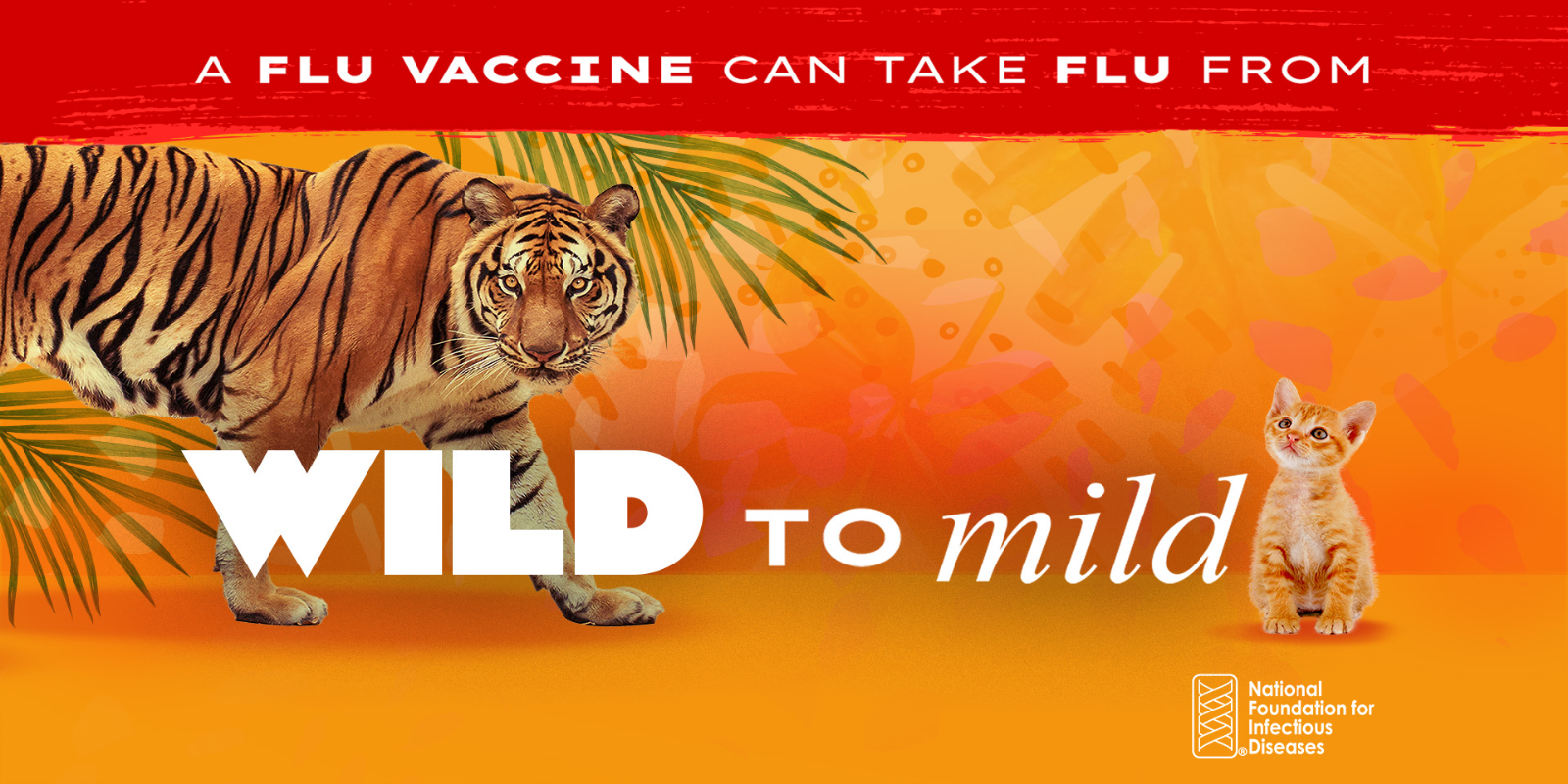 (이미지: National Foundation for Infectious Disease)