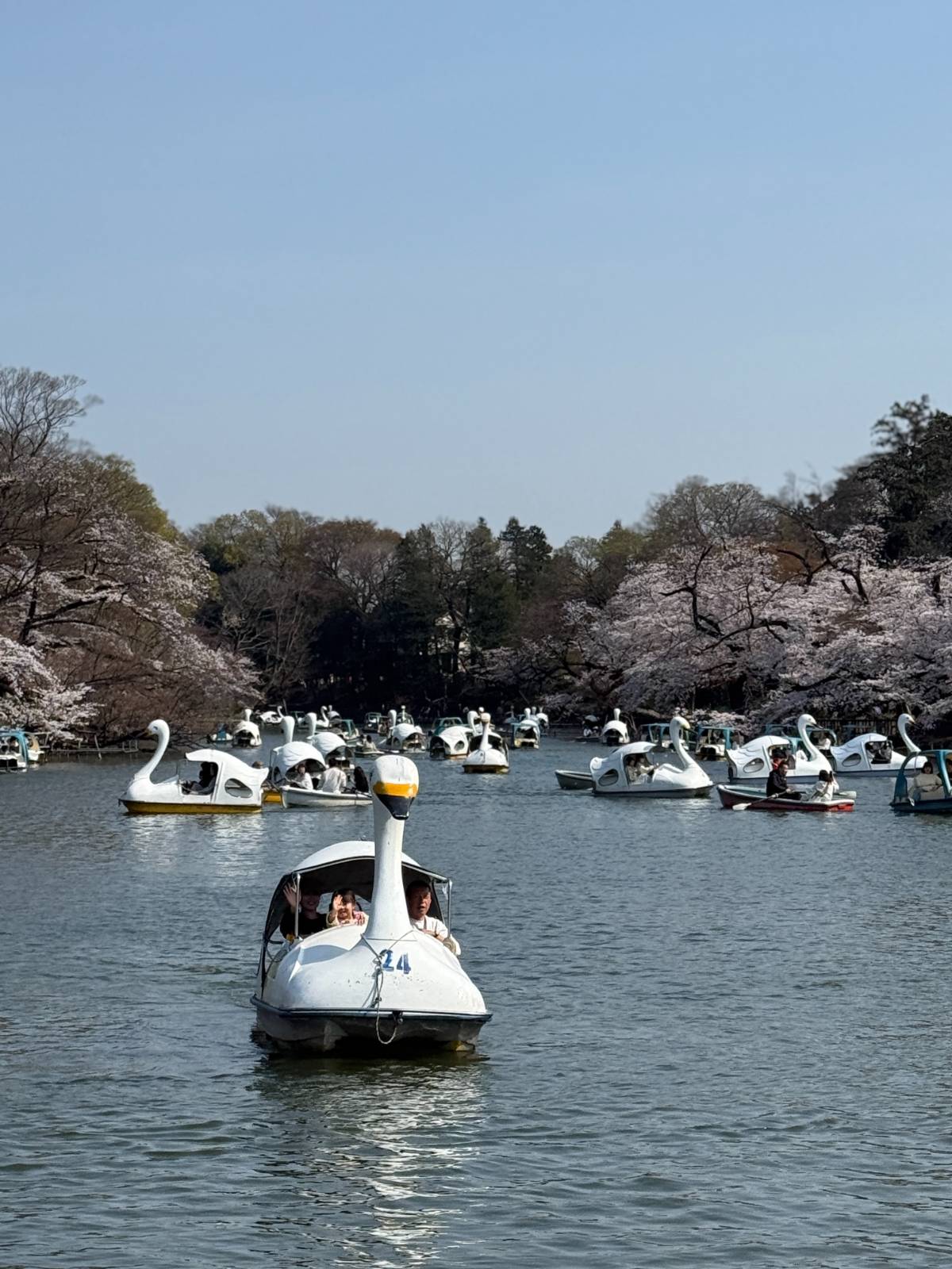 [부암댁의 일본食여행] vol.5 따뜻한 주말의 기치조지의 썸네일 이미지