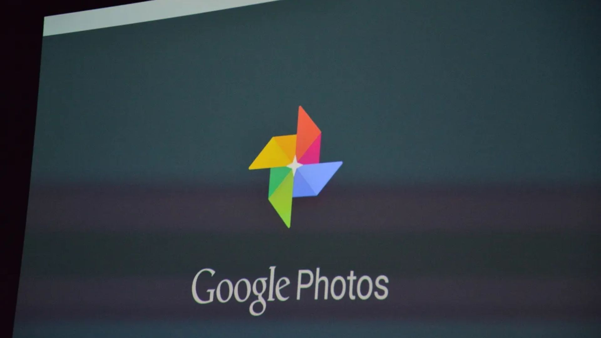 <Google Photos, 출처: The Verge>