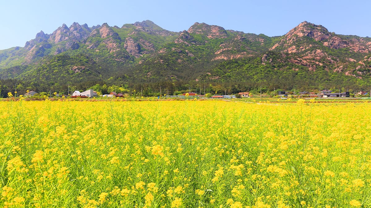 출처: 발품뉴스, daum, 여행을 말하다