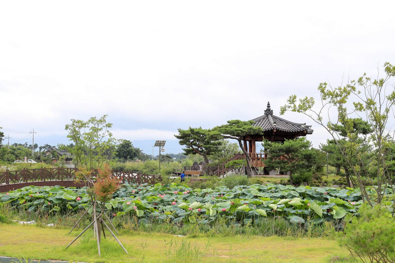 출처: 한국관광공사