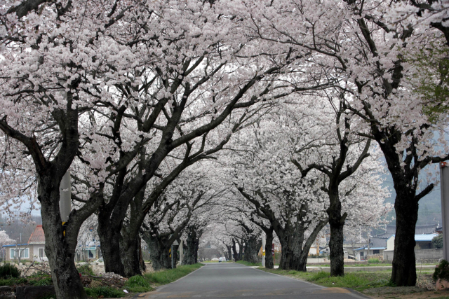 출처: 전남일보