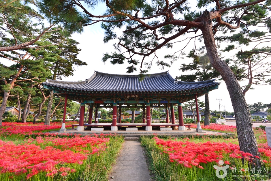 출처: 한국관광공사