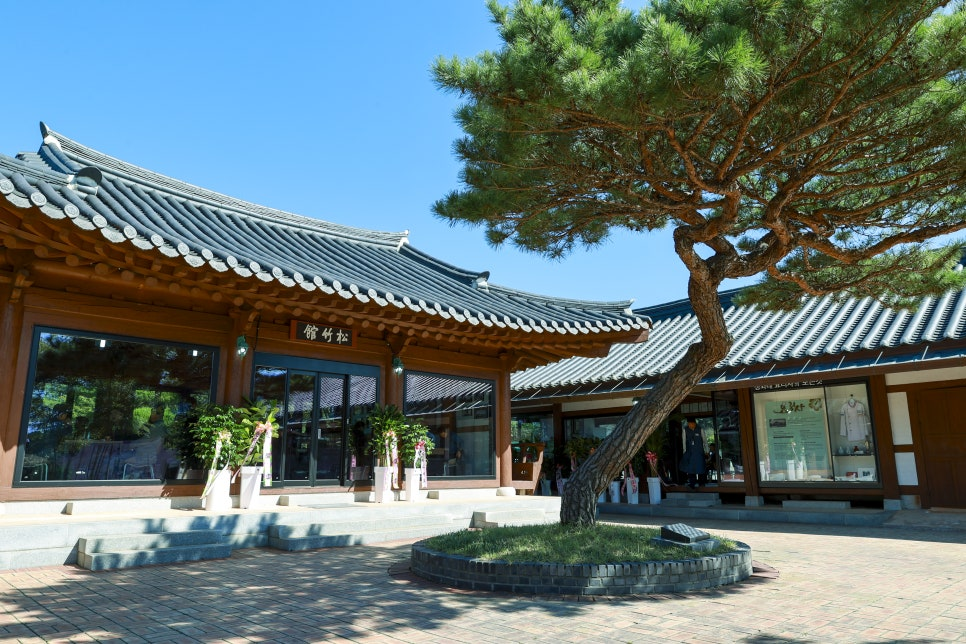 출처: 영암군 공식 블로그