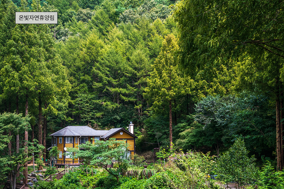 출처 : 논산시청 홈페이지
