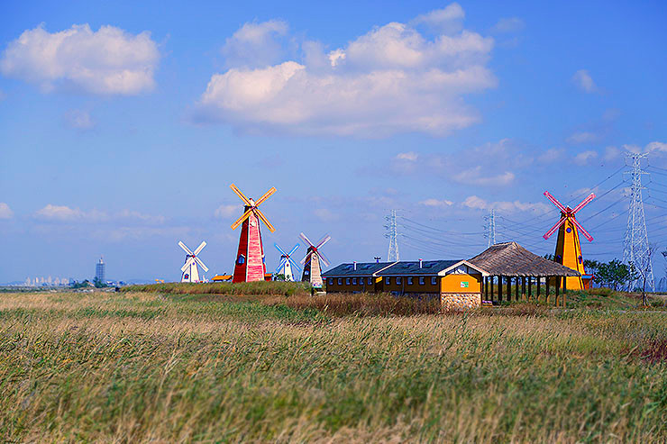 출처 : 네이버 지도 업체 제공