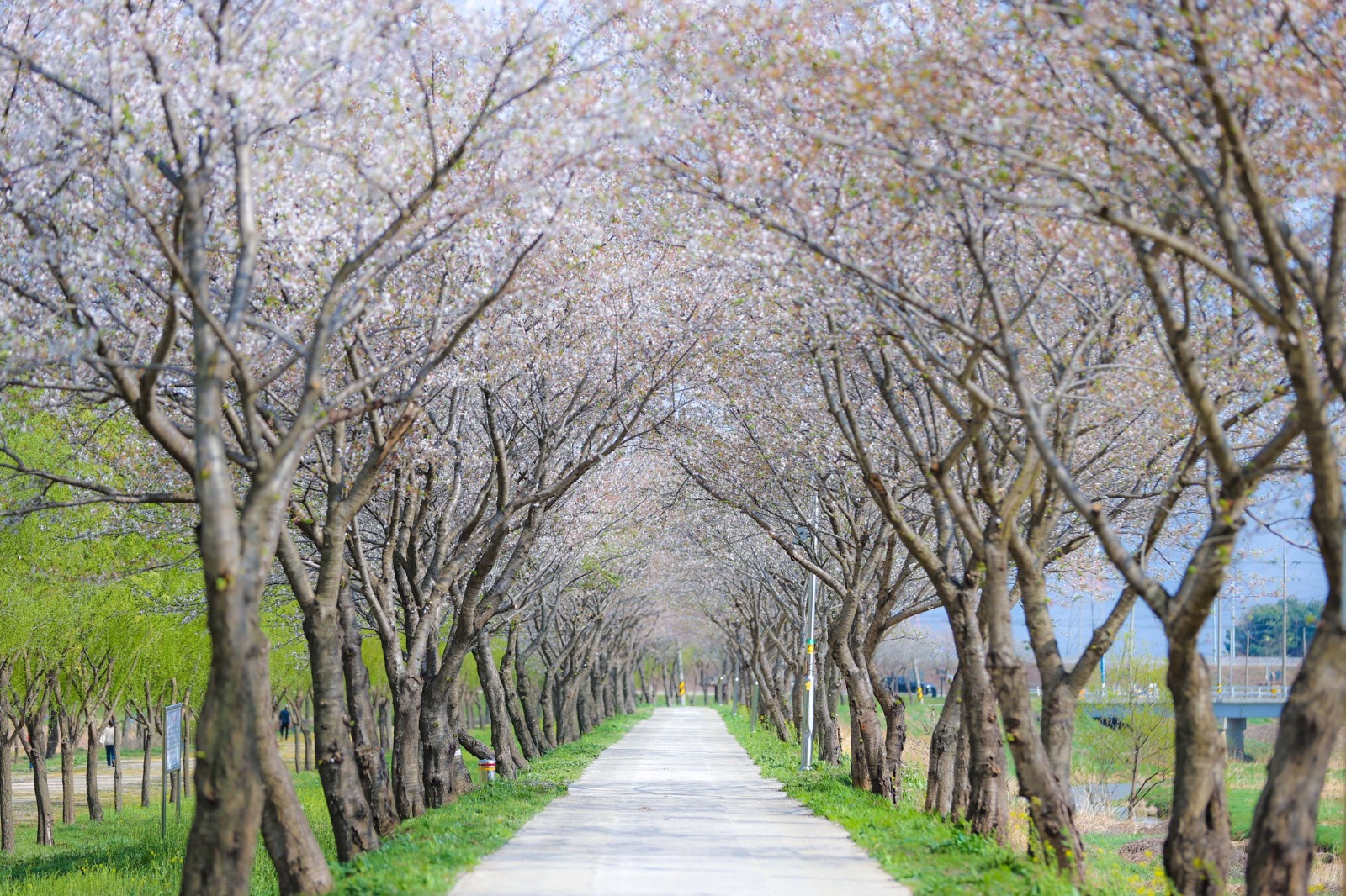 Ⓒ 당진시청 홈페이지