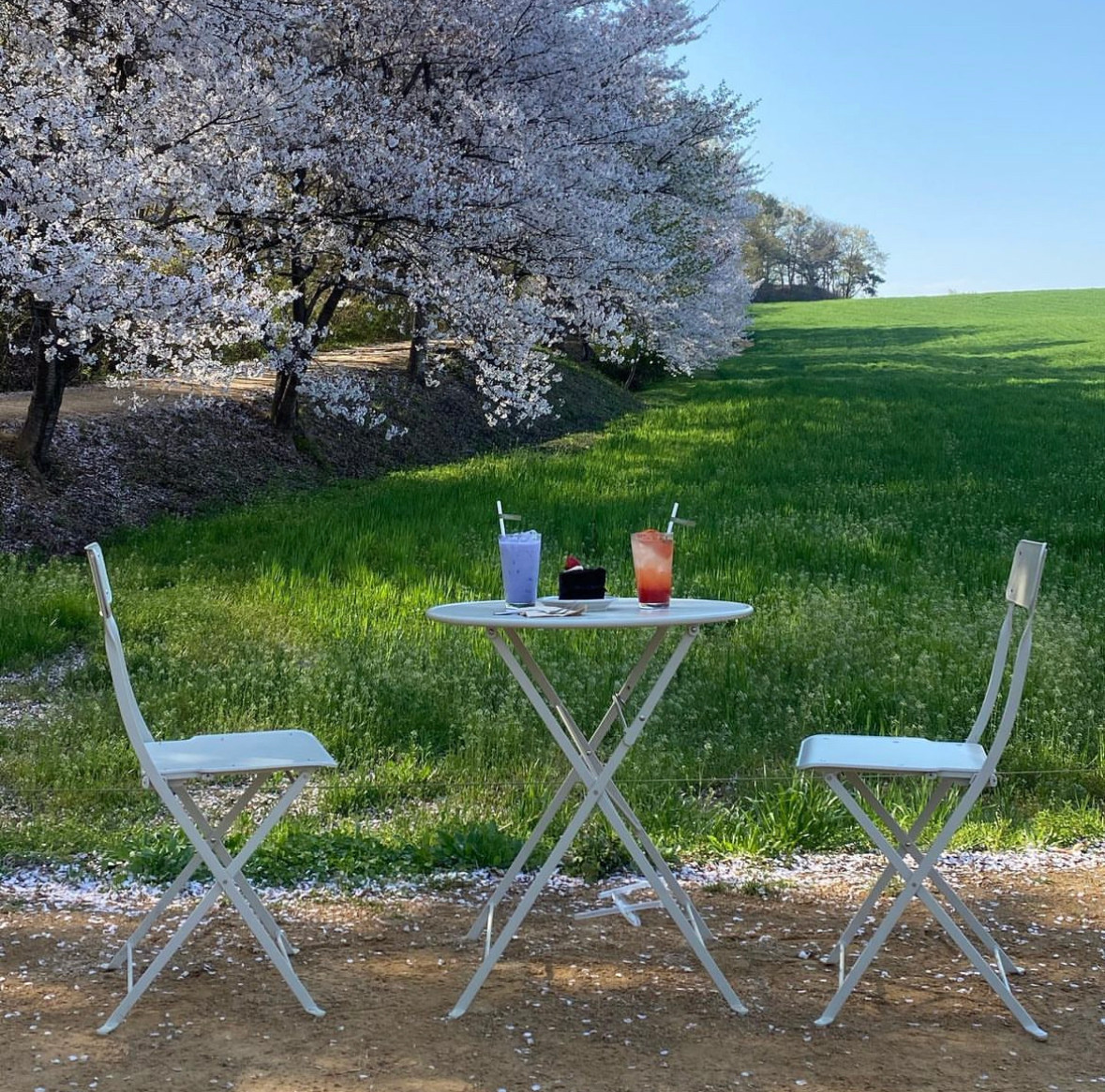 Ⓒ 네이버 지도 업체 제공