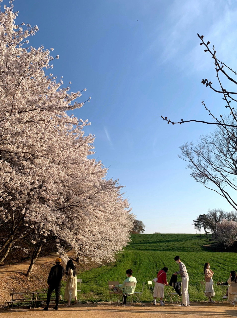 Ⓒ 네이버 지도 업체 제공 사진