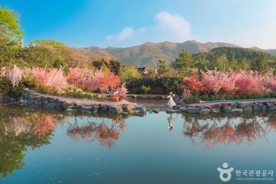 출처: 한국관광공사