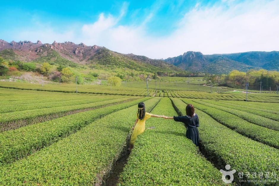 출처: 한국관광공사