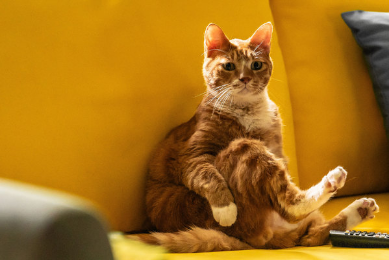 <좀비딸>(필감성, 2025) [이미지출처: KMDB]