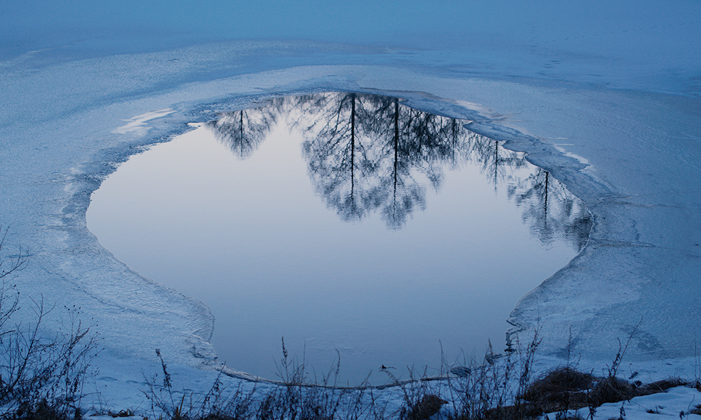 <악은 존재하지 않는다> 스틸컷(출처: KMDB)