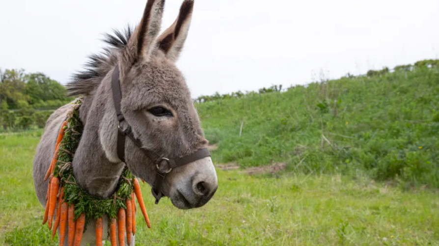 출처: 한국영상자료원