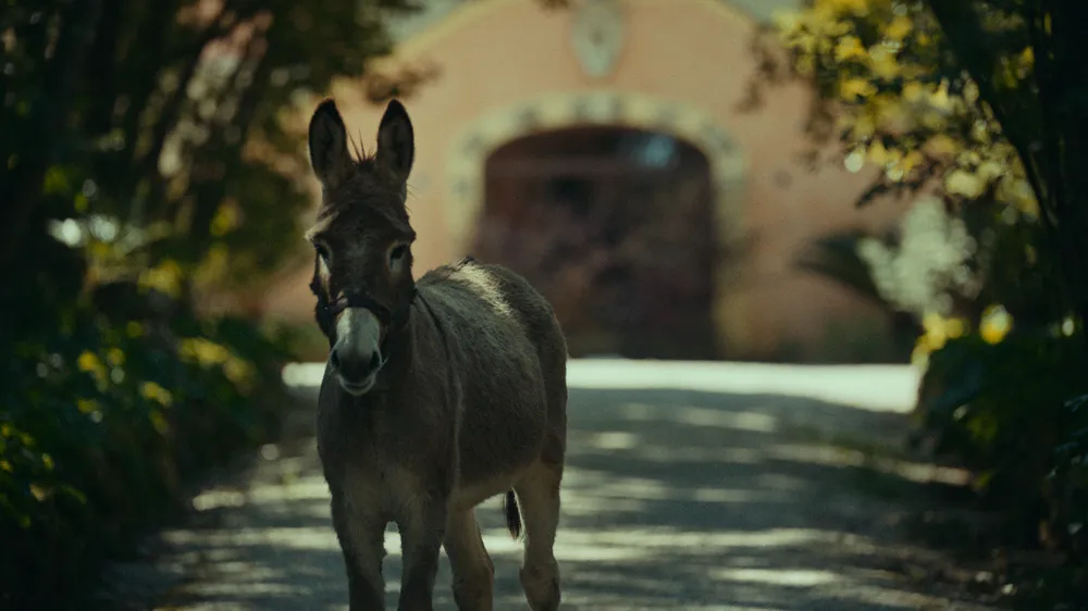 출처 : dmovies.org