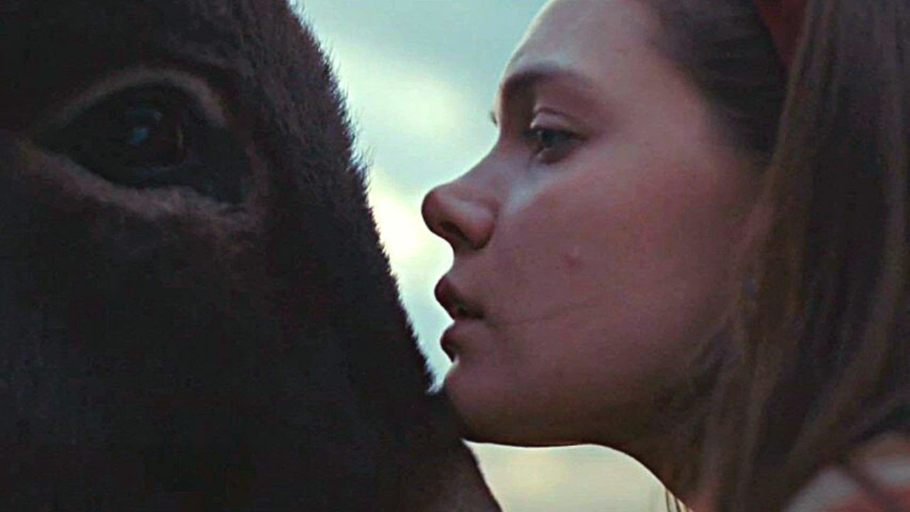 출처 : dmovies.org