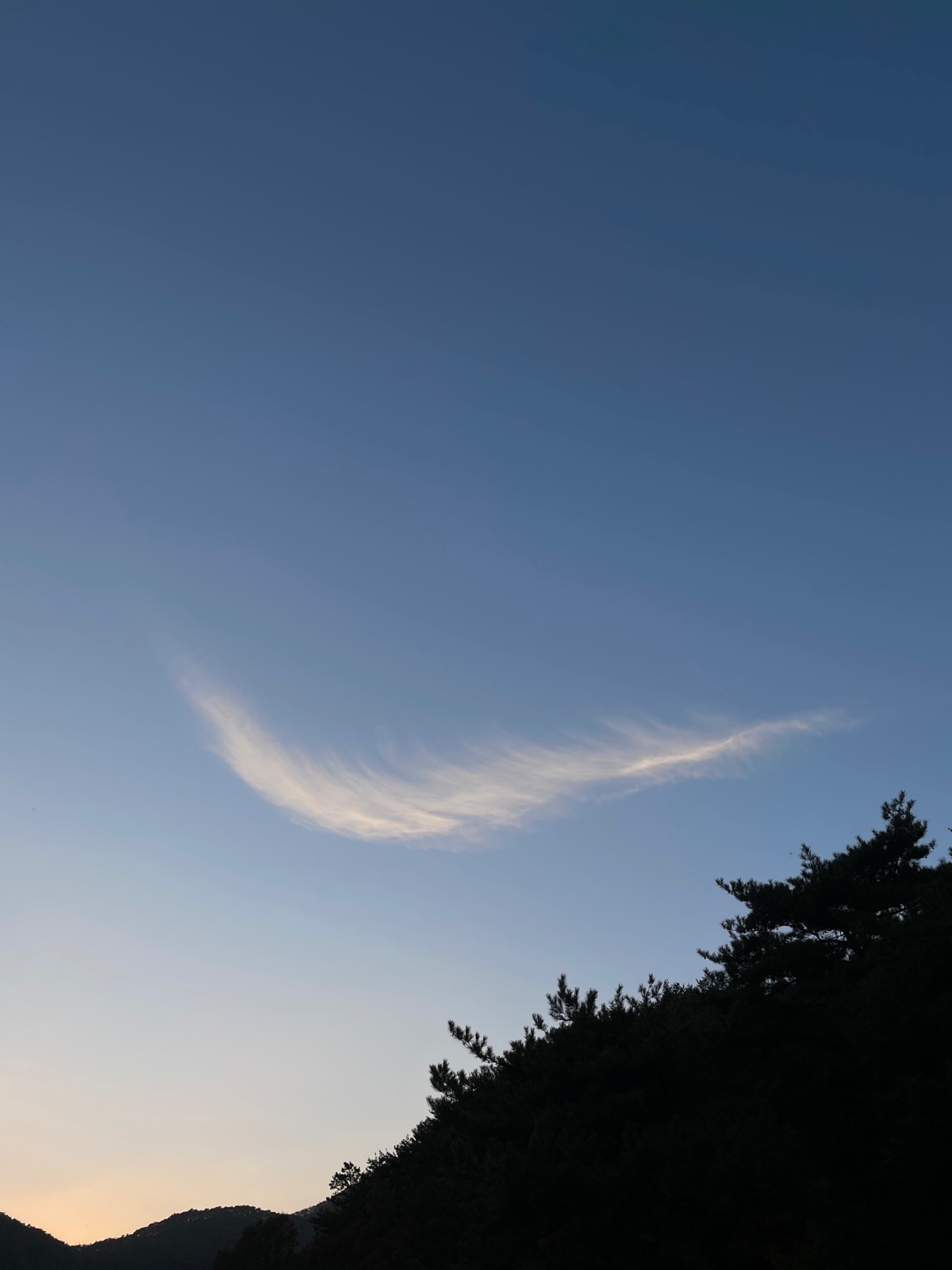 출처: 에디터 볼 ☁️