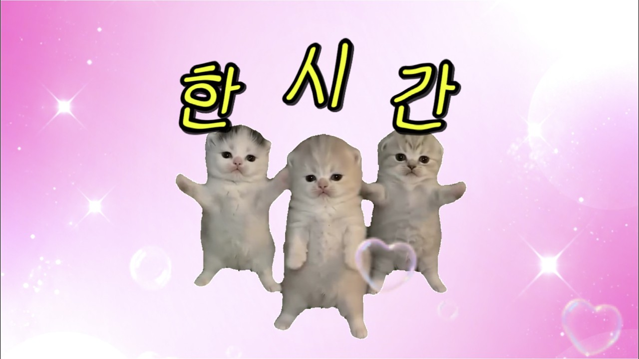 출처: 유튜브 '알라미'