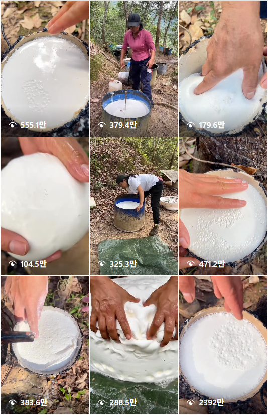 인스타그램 계정 @inspirgreen 갈무리