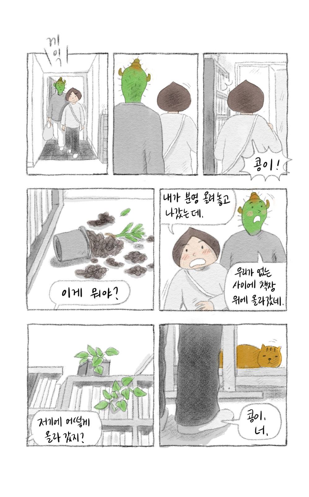 첨부 이미지