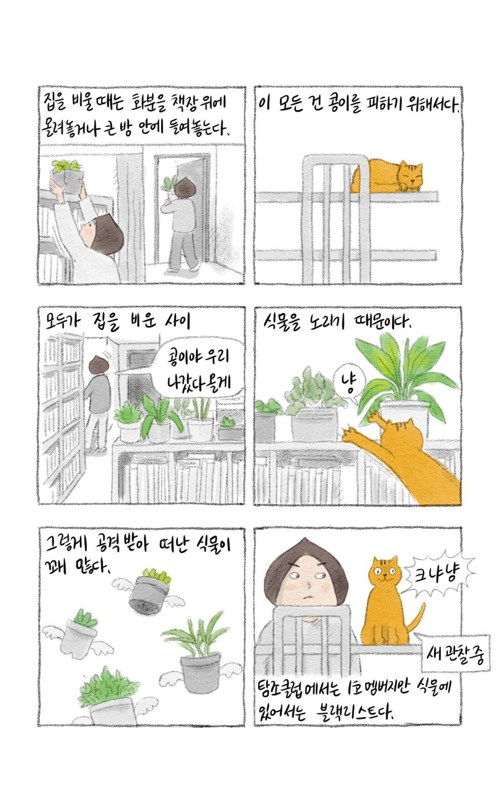 첨부 이미지