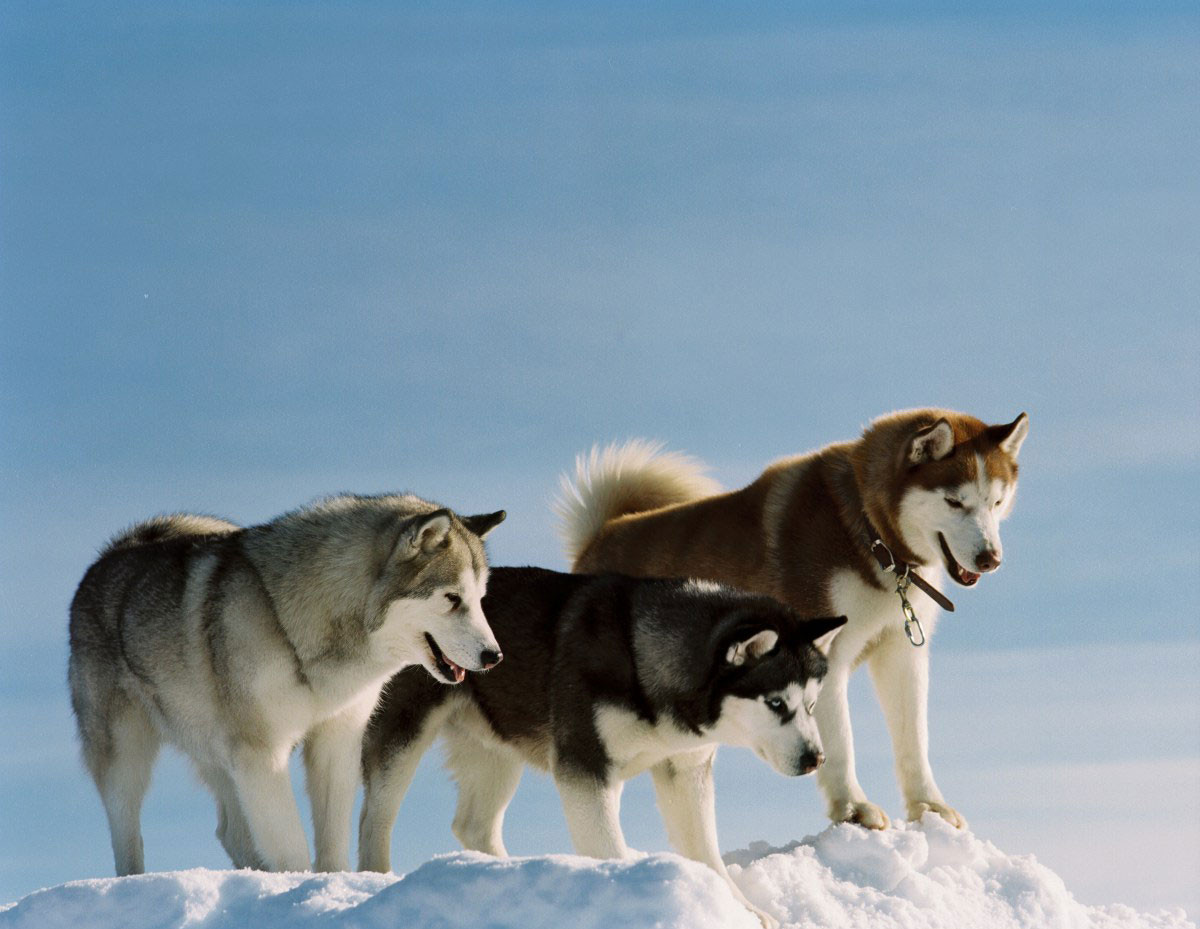 (이미지 출처: 네이버)