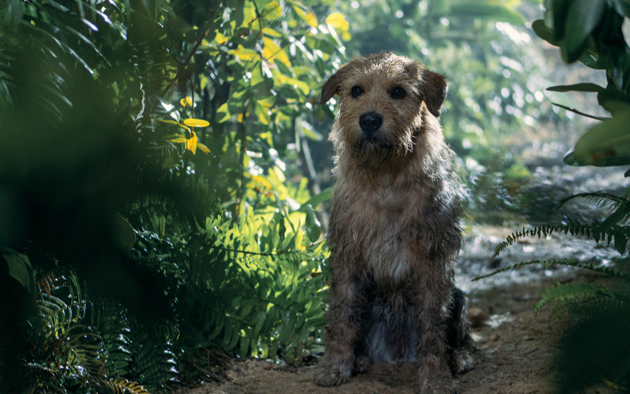 (이미지 출처: 네이버)