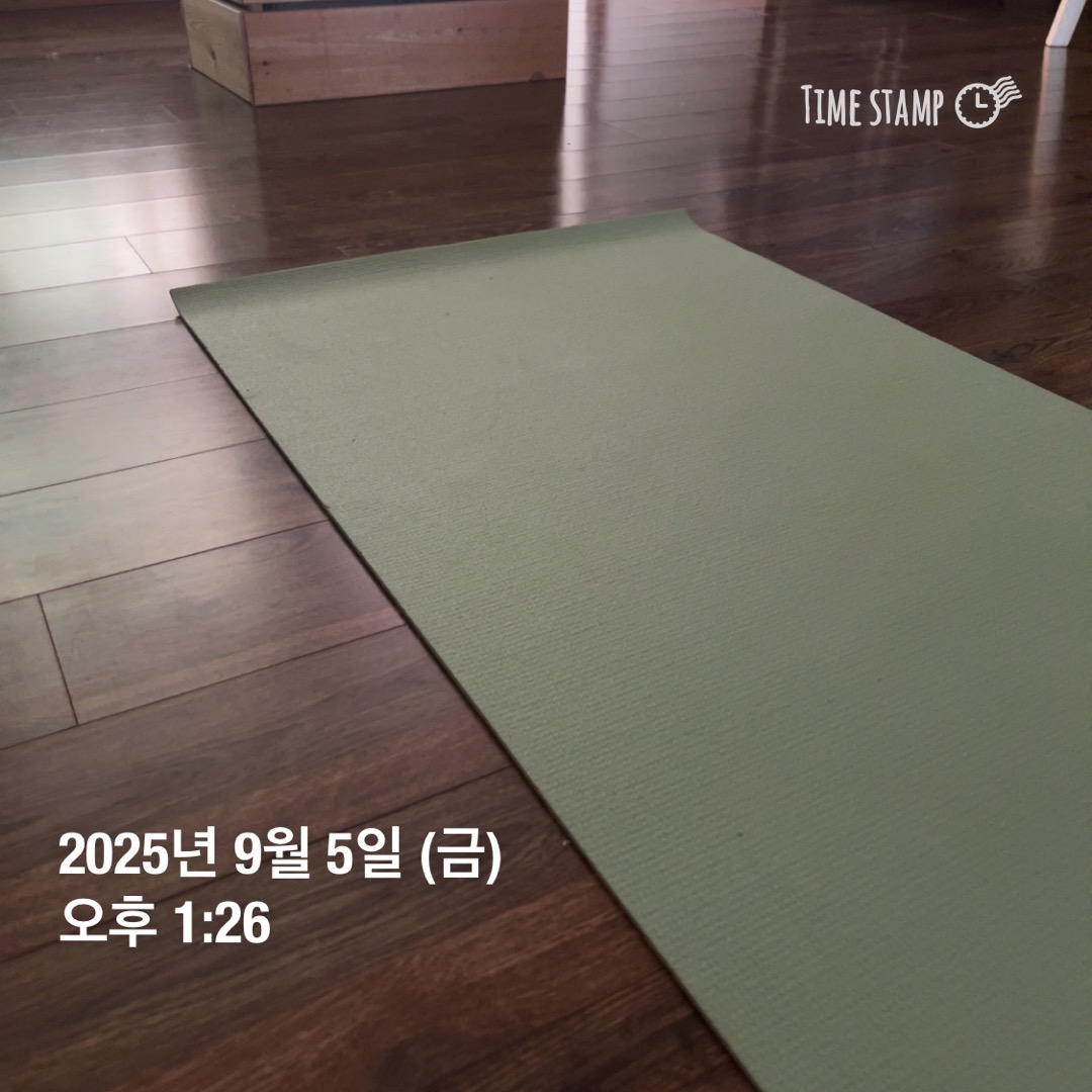 코칭 세션 사이 재빠르게 거실에 매트 깔고 20-30분 요가를 한다. 다음 세션 새로운 에너지로 들어갈 수 있다.