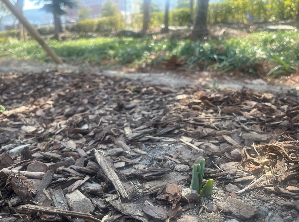 [나와의 대화] 실패했을 때, '럭키비키'를 외칠 수 있다면 의 썸네일 이미지