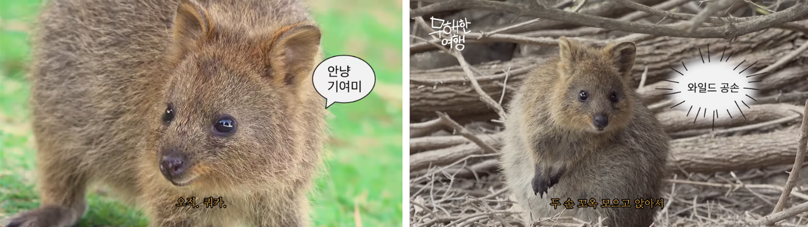 출처: 하나투어 유튜브