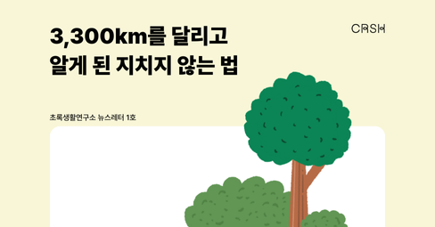 3,300km를 달리고 알게 된 지치지 않는 법의 썸네일 이미지