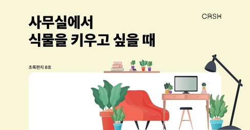 사무실에서 식물을 키우고 싶을 때의 썸네일 이미지