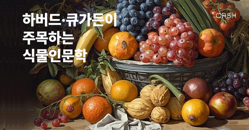 식물인문학이란 무엇인가 의 썸네일 이미지